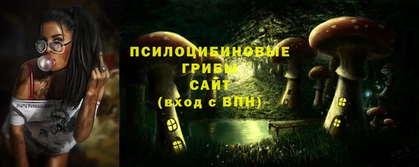 хмурый Богородицк