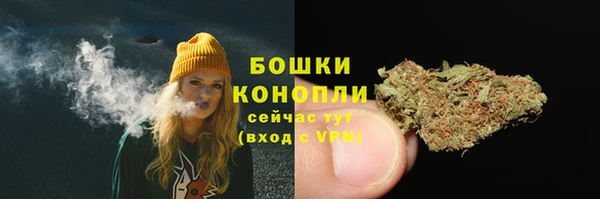 хмурый Богородицк