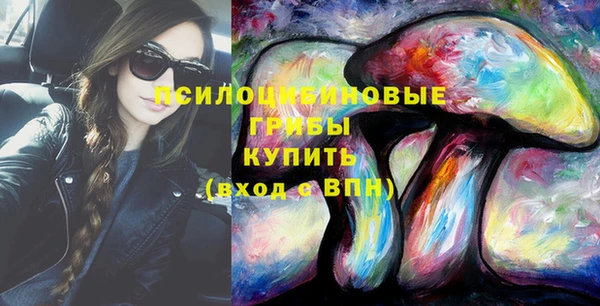PSILOCYBIN Магадан