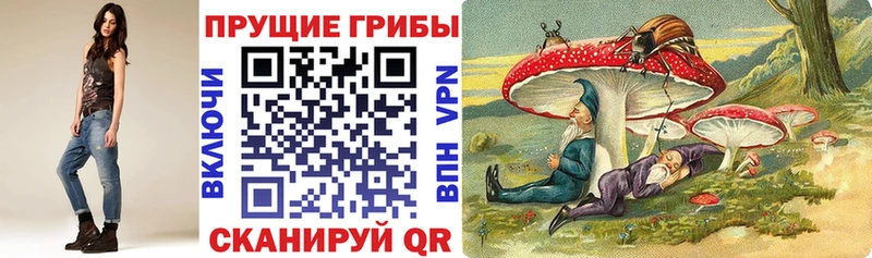 Псилоцибиновые грибы Cubensis Ветлуга